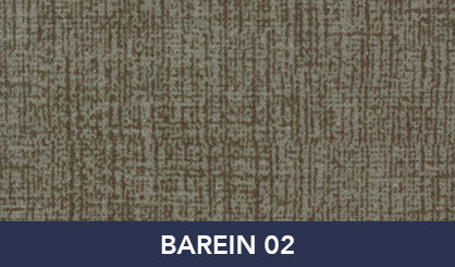 BAREIN_02