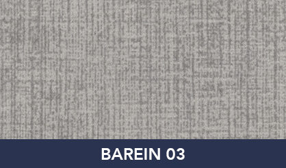 BAREIN_03