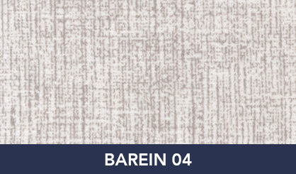 BAREIN_04