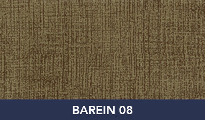 BAREIN_08