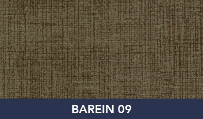 BAREIN_09