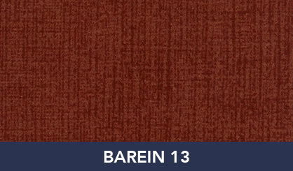 BAREIN_13