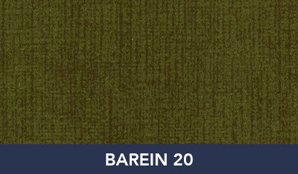 BAREIN_20