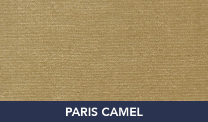 PARIS_CAMEL