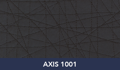 AXIS_1001