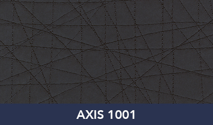 AXIS_1001