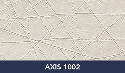 AXIS_1002