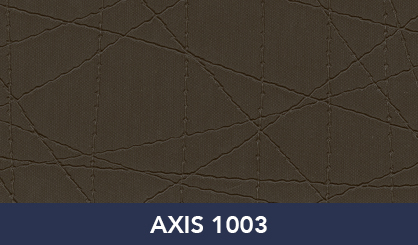 AXIS_1003