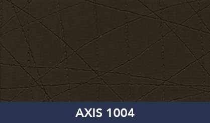 AXIS_1004