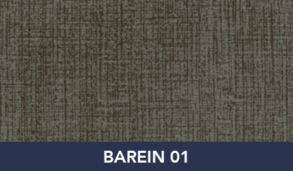 BAREIN_01
