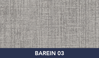 BAREIN_03