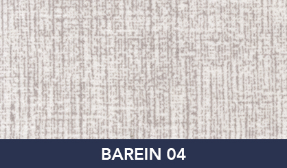 BAREIN_04