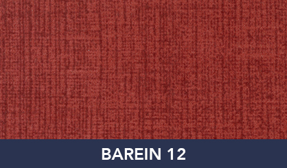 BAREIN_12