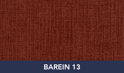BAREIN_13