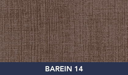 BAREIN_14