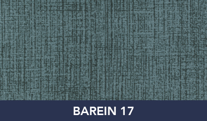 BAREIN_17