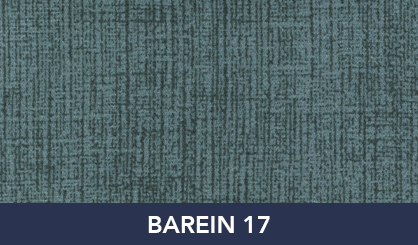 BAREIN_17