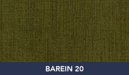 BAREIN_20