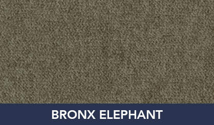 BRONX_ELEPHANT