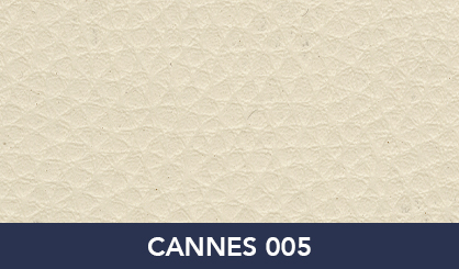 CANNES_005