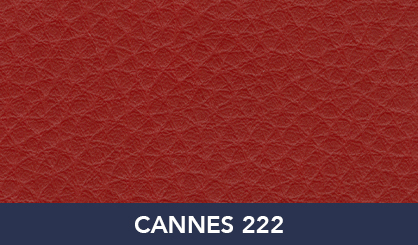 CANNES_222