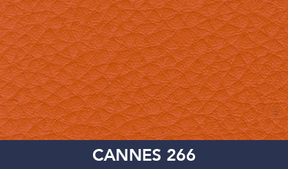 CANNES_266
