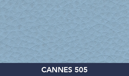CANNES_505