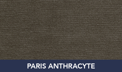 PARIS_ANTHRACYTE