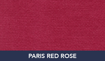 PARIS_RED ROSE