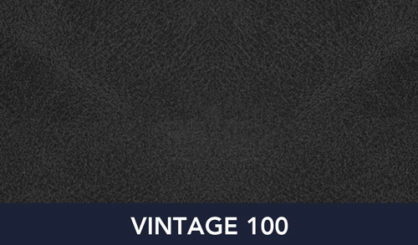Vintage-100